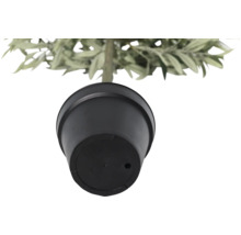 Pohled zespodu na květináč s rostlinou