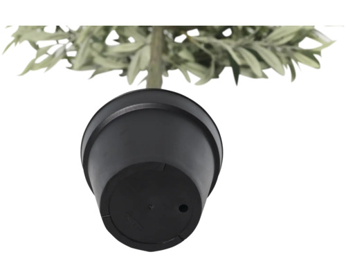 Pohled zespodu na květináč s rostlinou