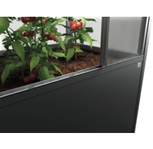 Zvýšený záhon s rajčaty ve skleníku