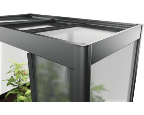 Detailní pohled na skleník s polykarbonátovými deskami a hliníkovým rámem