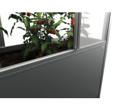 Zvýšený záhon s rostlinami rajčat ve skleníku