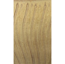 Detailní pohled na reliéfní strukturu