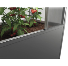 Vysoký záhon s rostlinami rajčat