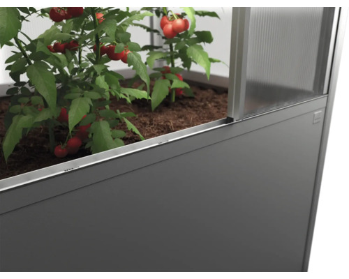 Vysoký záhon s rostlinami rajčat