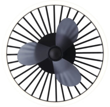 Stropní ventilátor s osvětlením