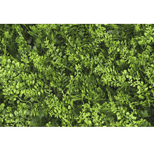 Umělá rostlinná stěna s různými zelenými listy pro dekoraci