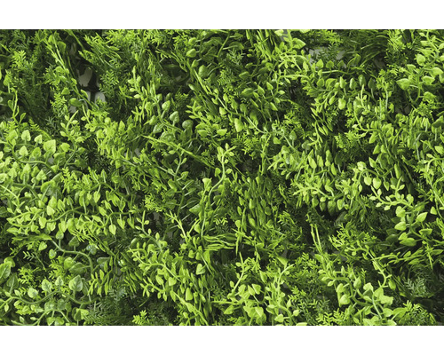 Umělá rostlinná stěna s různými zelenými listy pro dekoraci