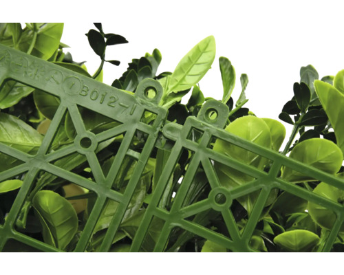 Detailní záběr panelů z umělého buxusového živého plotu spojených dohromady