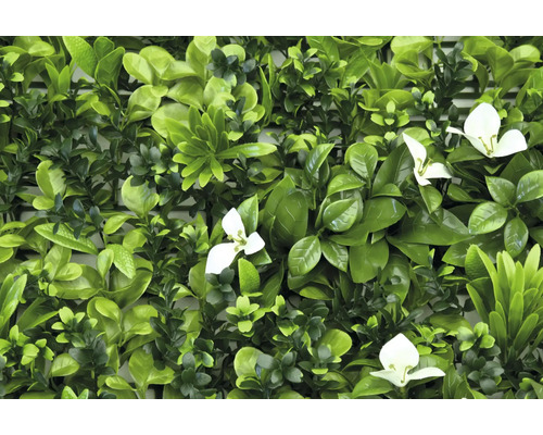 Umělý živý plot se zelenými listy a bílými květy