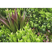 Umělá stěna z rostlin s kapradinami a listy