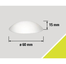 Obrázek s rozměry: průměr 60 mm, výška 15 mm