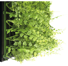 Stěna z umělých rostlin s různými zelenými rostlinami