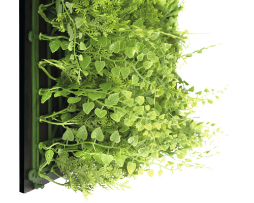 Stěna z umělých rostlin s různými zelenými rostlinami