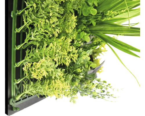 Umělá zelená stěna s různými rostlinami