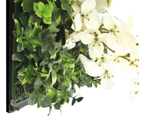 Umělá stěna z rostlin se zelenými rostlinami a bílými květy