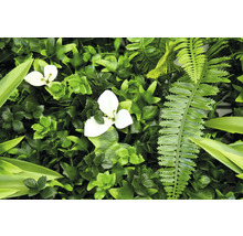 Umělá zelená rostlinná stěna s bílými květy a kapradinami