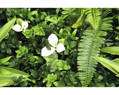 Umělá zelená rostlinná stěna s bílými květy a kapradinami