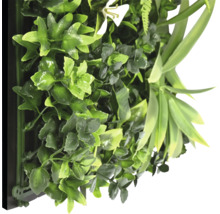 Umělá stěna z rostlin s různými zelenými listy a bílým květem