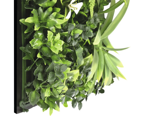 Umělá stěna z rostlin s různými zelenými listy a bílým květem