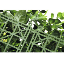 Detail umělé rostlinné stěny s upevňovací strukturou