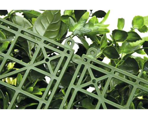 Detail umělé rostlinné stěny s upevňovací strukturou