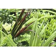 Detailní pohled na různé umělé rostliny