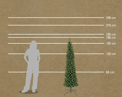 Porovnání velikosti úzké vánoční jedle s osobou a měřicími linkami v centimetrech