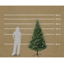 Porovnání velikostí umělého vánočního stromku s ženou a údaji o velikosti