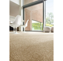 Interiér s kobercem, židlemi a velkým oknem