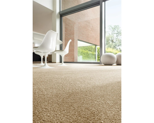 Interiér s kobercem, židlemi a velkým oknem