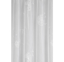 Záclona s motivem pampelišky