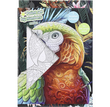 Malování podle čísel sada s motivem papouška, včetně tří štětců a dvanácti akrylových barev.