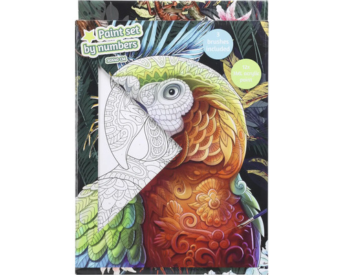 Malování podle čísel sada s motivem papouška, včetně tří štětců a dvanácti akrylových barev.