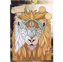 Sada malování podle čísel s motivem lva, včetně tří štětců a dvanácti akrylových barev