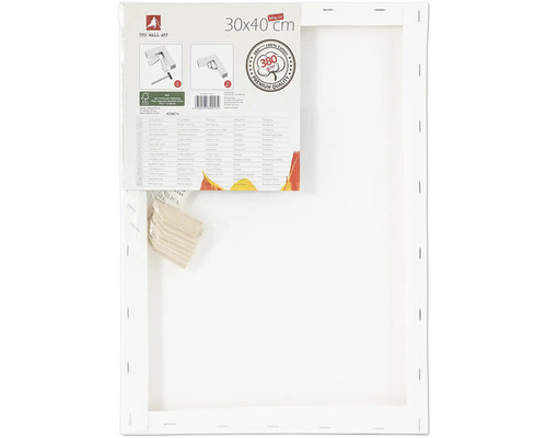 Plátno na rámu, 30 x 40 centimetrů