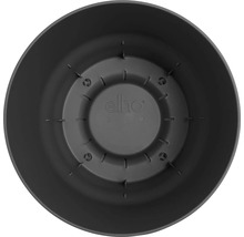 Pohled zevnitř na květináč