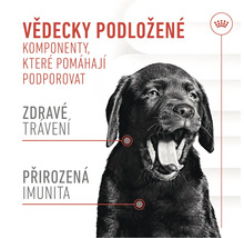 Ilustrace s textem o vědecky podložených složkách pro zdravé trávení a přirozenou imunitu a logo Royal Canin