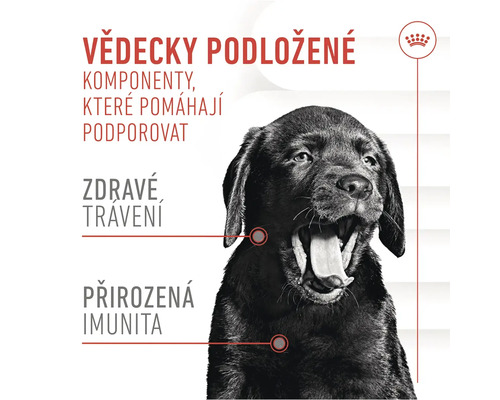 Ilustrace s textem o vědecky podložených složkách pro zdravé trávení a přirozenou imunitu a logo Royal Canin