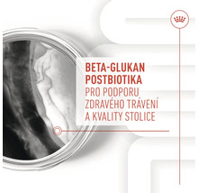 Beta glukan postbiotika pro podporu zdravého trávení a kvality stolice