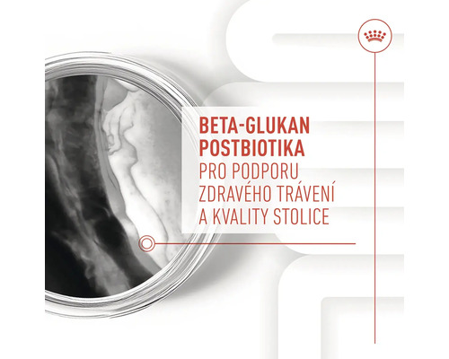 Beta glukan postbiotika pro podporu zdravého trávení a kvality stolice