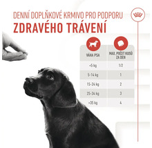 Ilustrace doporučení ke krmení psů pro podporu zdravého trávení.