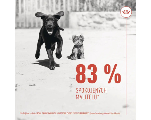 Dva psi různé velikosti, logo Royal Canin, informace o spokojenosti zákazníků