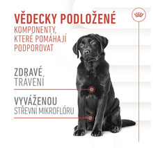 Ilustrace složek krmiva na podporu trávení pro psy