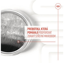 Prebiotika, která pomáhají podporovat zdravý střevní mikrobiom.