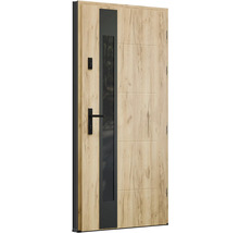 Vchodové dveře se skleněnou vložkou a vzhledem dřeva