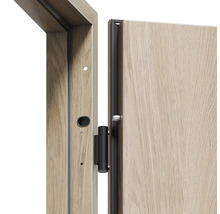 Detail interiérových dveří s rámem a kováním