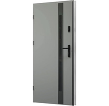 Šedé dveře se skleněnou vložkou a klikou