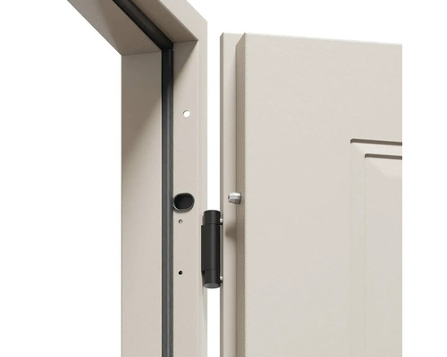 Detail dveří s rámem dveří a pantem