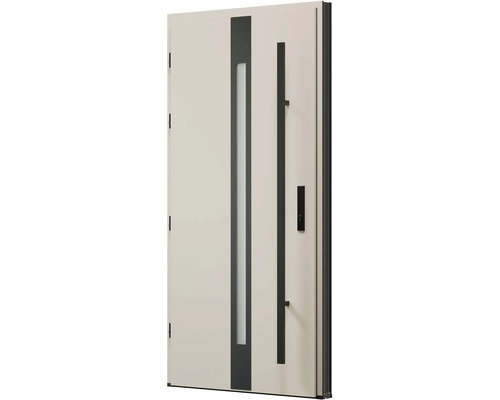 Vchodové dveře se skleněnou vložkou a madlem