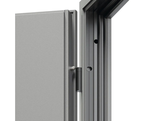 Detail dveří s rámem a pantem